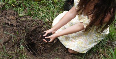 Mother The Mountain Farm star high quality image