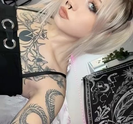 alisawaifu pornstar best images