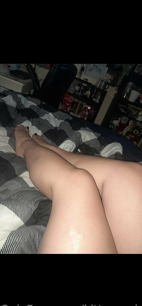 kitten onlyfans com model hot img