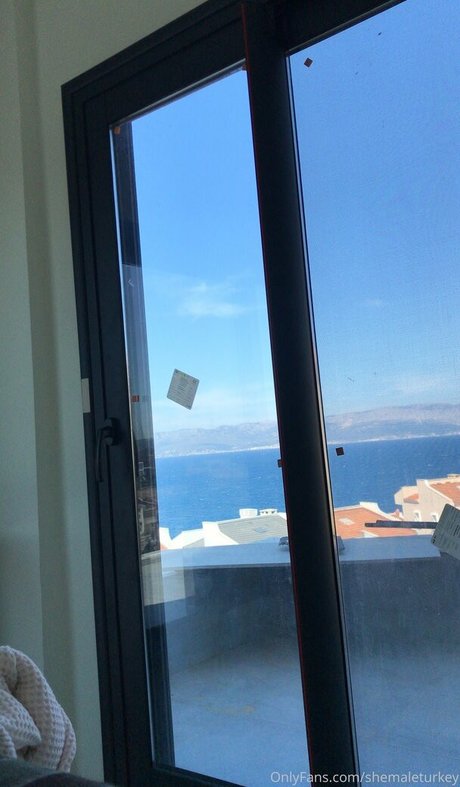 shemaleturkey pornographic star picture