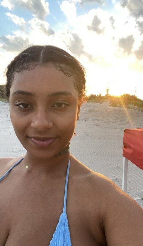 planterriah star nice image