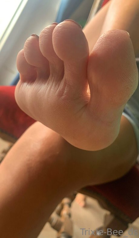 trixiebee dirtysocks adult star galleries