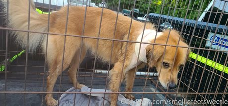 smelliefeetsweetie exclusive model photo