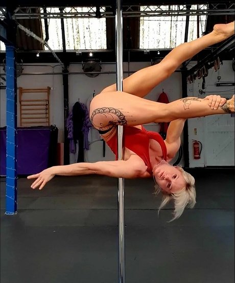 lunatickles star perfect images