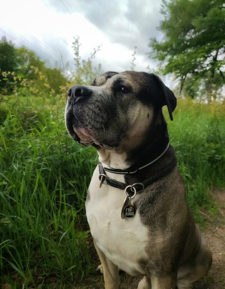 nidagonehot pornstar pretty image