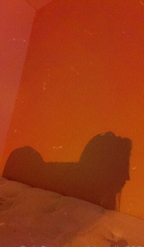 bbaddie003 hot star archive