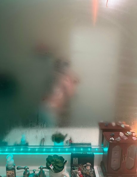 yourbigtiddiedlamb star top gallery