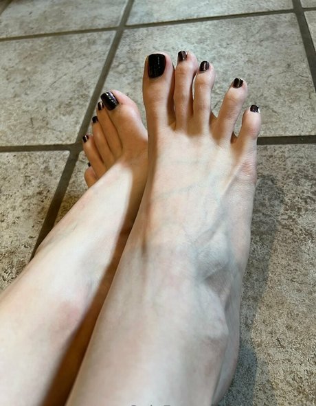 loritoes32 star top image