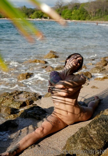 danidrishti high quality star archive