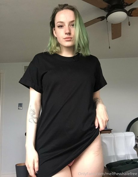 melthewhalefree star top galleries