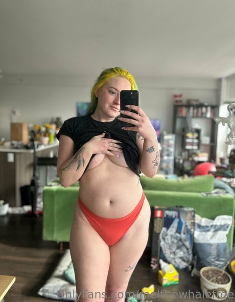 melthewhalefree nice star pics