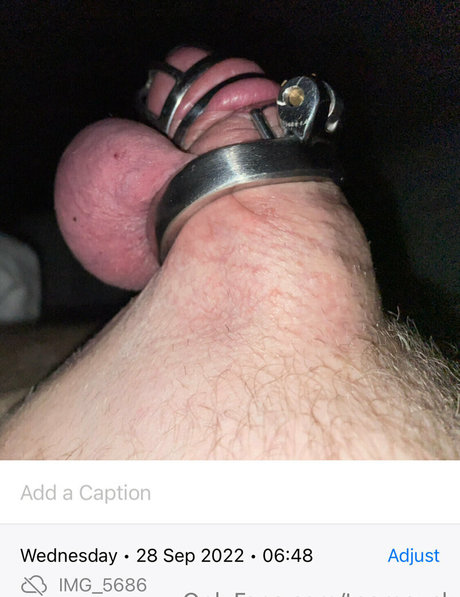 teamcuck star pictures