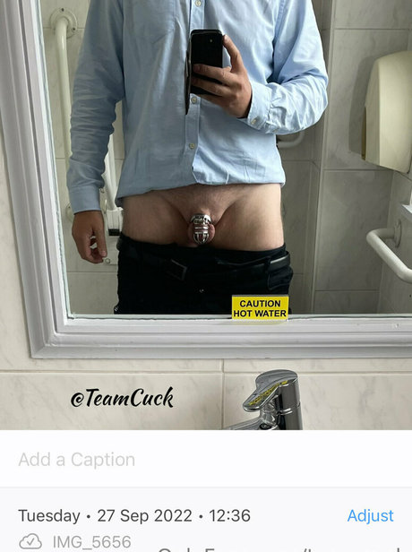 teamcuck model porn archive