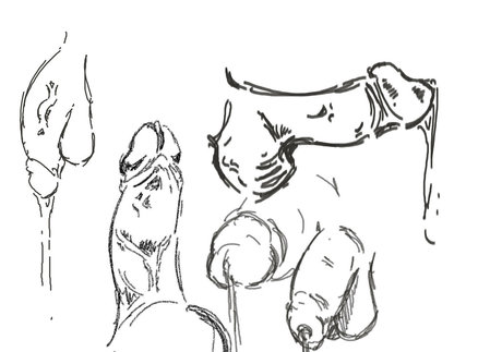 Ceresclouds pornstar nice galleries