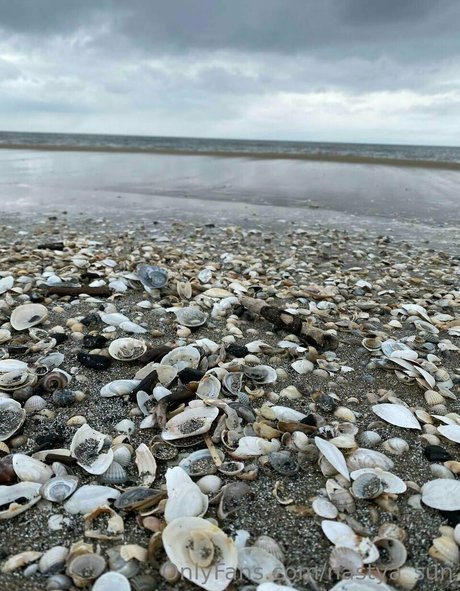 nastya sun nude star galleries