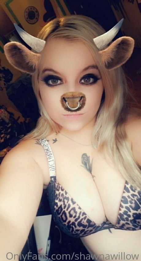 shawnawillow star sex archive