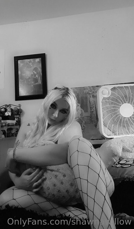 shawnawillow exclusive pornstar images