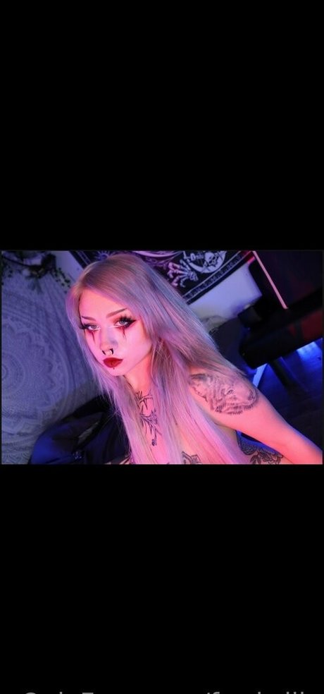 fawkslily star best galleries