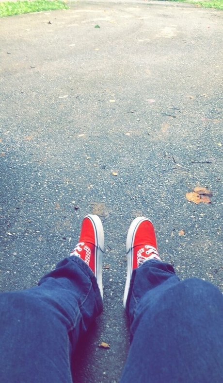 begformolly top model images