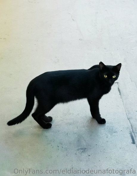 eldiariodeunafotografa model exclusive photo