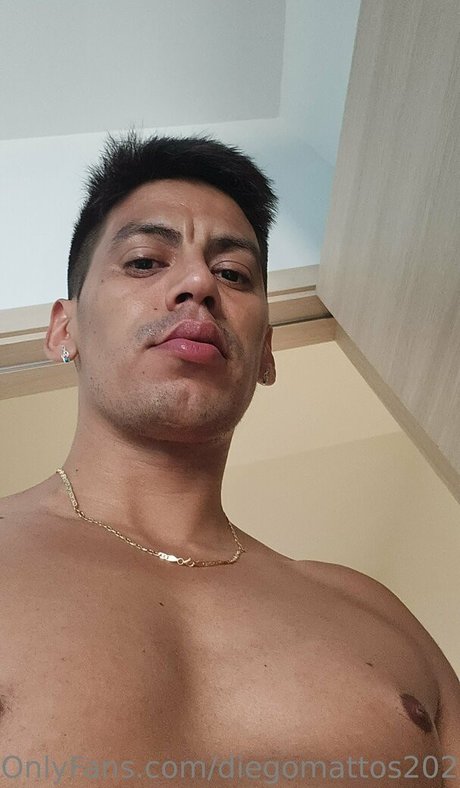 diegomattos2020 model best picture