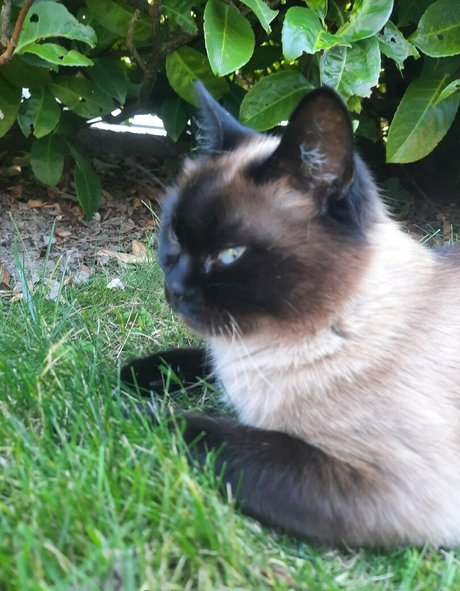 missmeismaid pornstar pretty archive