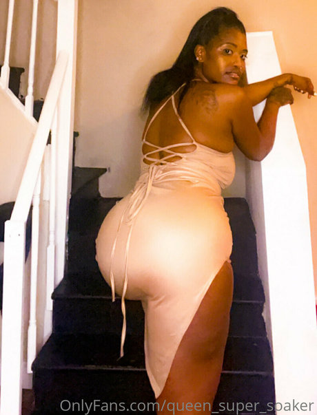 queen super soaker nice model img