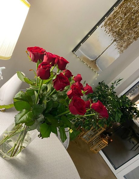 artease star beautiful galleries