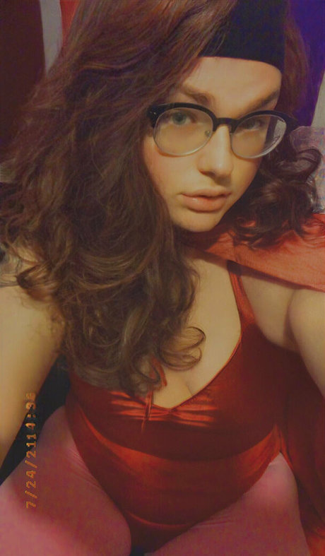 skylakat star high quality gallery