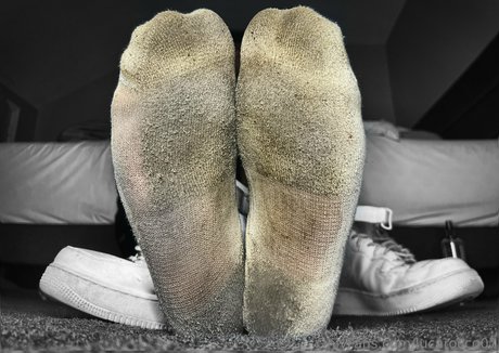 lucarocco07 star high quality image