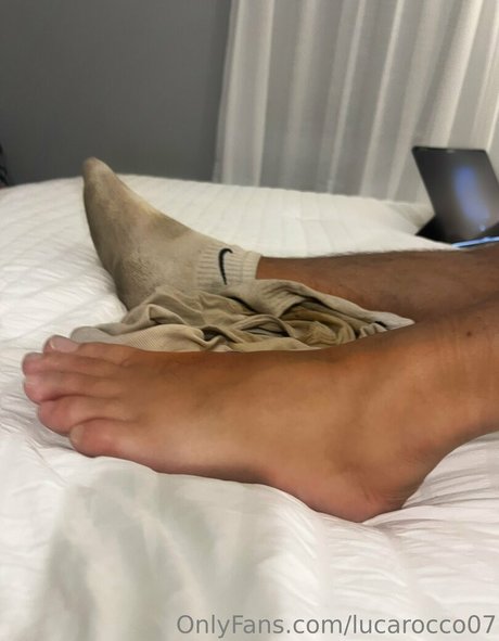 lucarocco07 best model archive