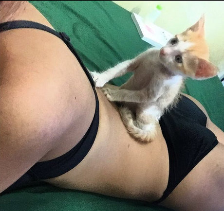 Sas Sy pornographic star picture