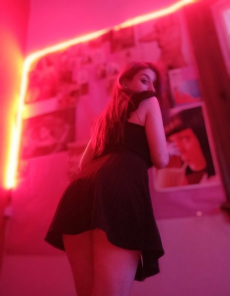 cabaretpanda star free photo