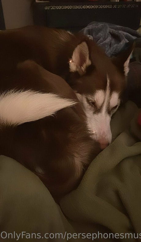 persephonesmuses pornstar art galleries