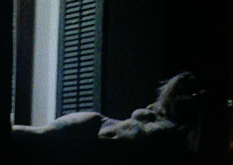 Velvetears beautiful star galleries