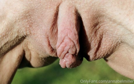 annabelmiller perfect model pictures