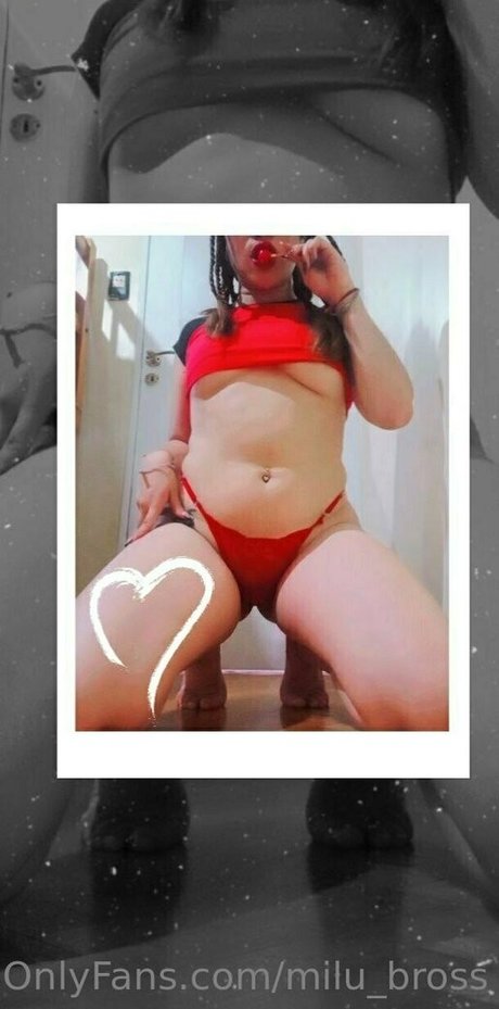 milu bross star art image