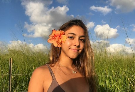 Heidii r nudes pornstar galleries