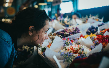 morgangallocomedy adult star photo