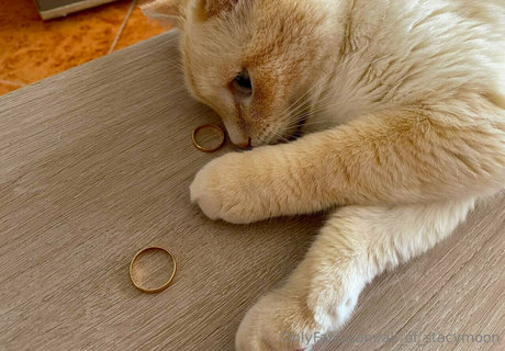 all of stacymoon star high quality photo