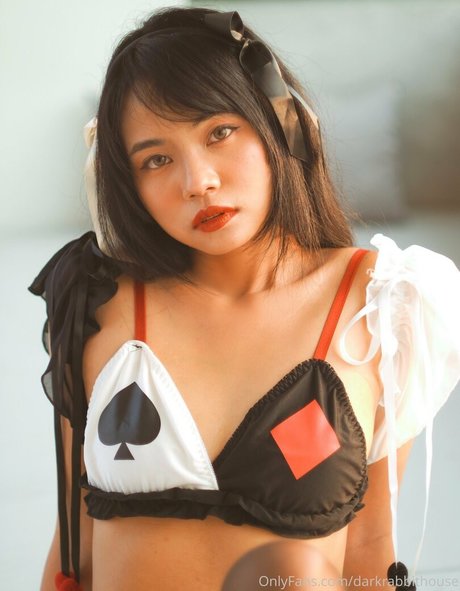 Darkrabbithouse sexy model image