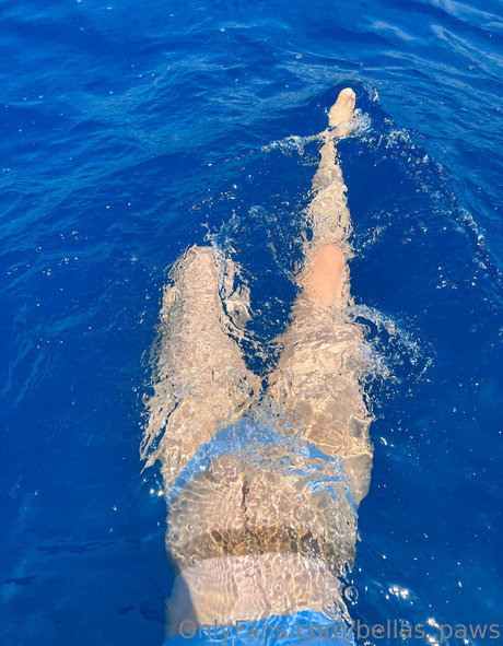 bellas paws pornstar xxx archive