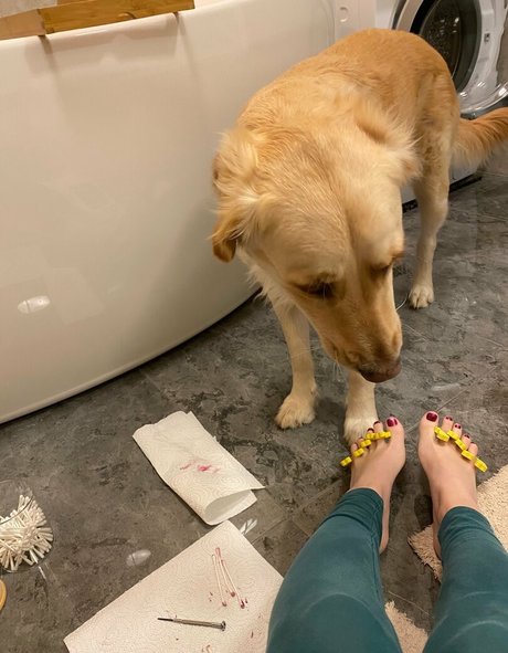 bellas paws art star photos