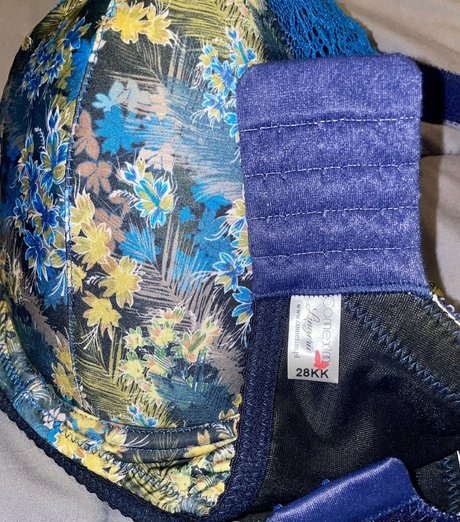 loritaylor nice model archive