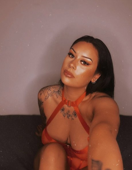 elmo 2301 high quality star img