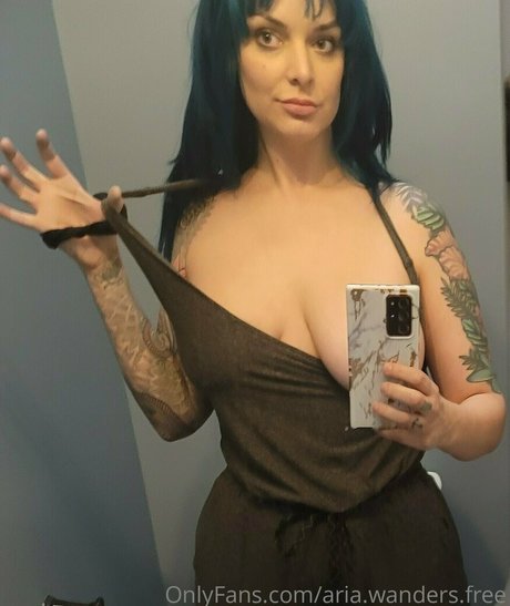 aria wanders free art star pic