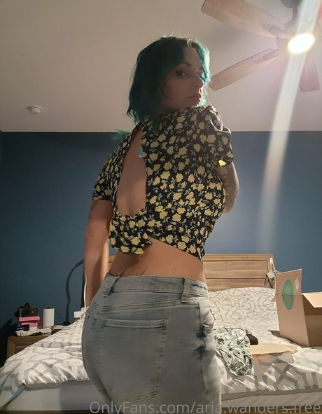 aria wanders free art pornstar archive