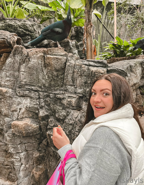 itskayls beautiful star picture