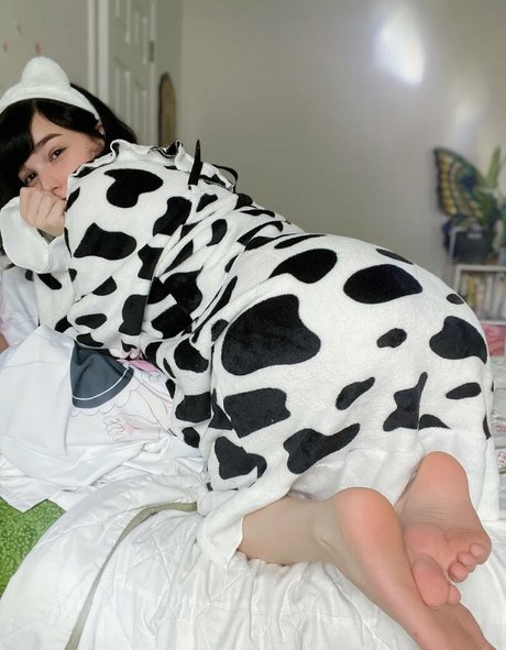 joopifeets beautiful star pictures