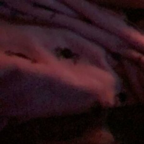 nofacej19 sex actress images